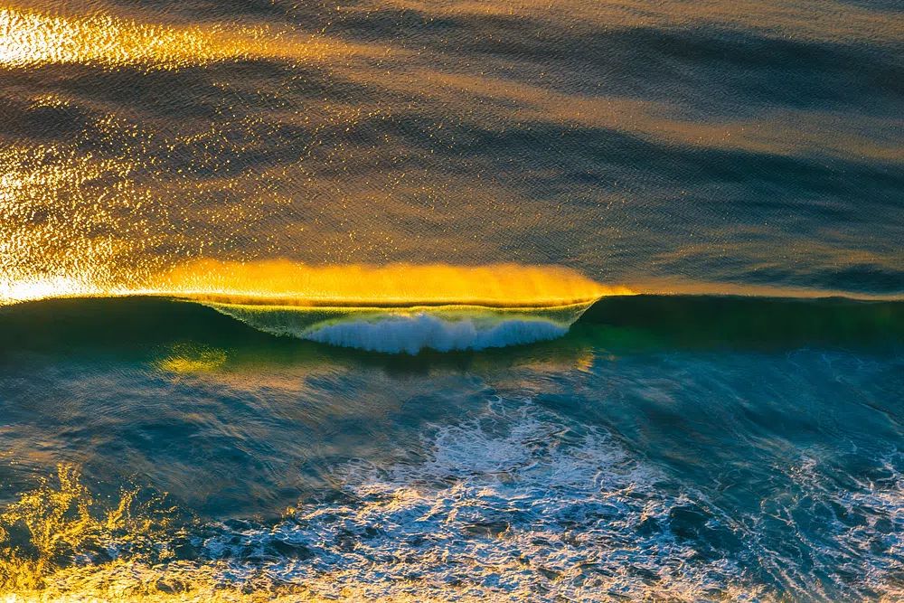 Golden Ocean Wave Print. poster detail