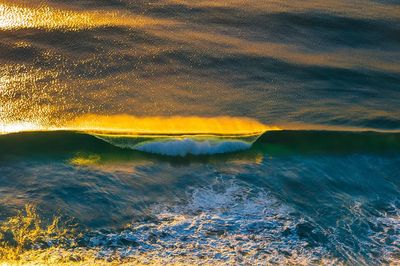 Golden Ocean Wave Print