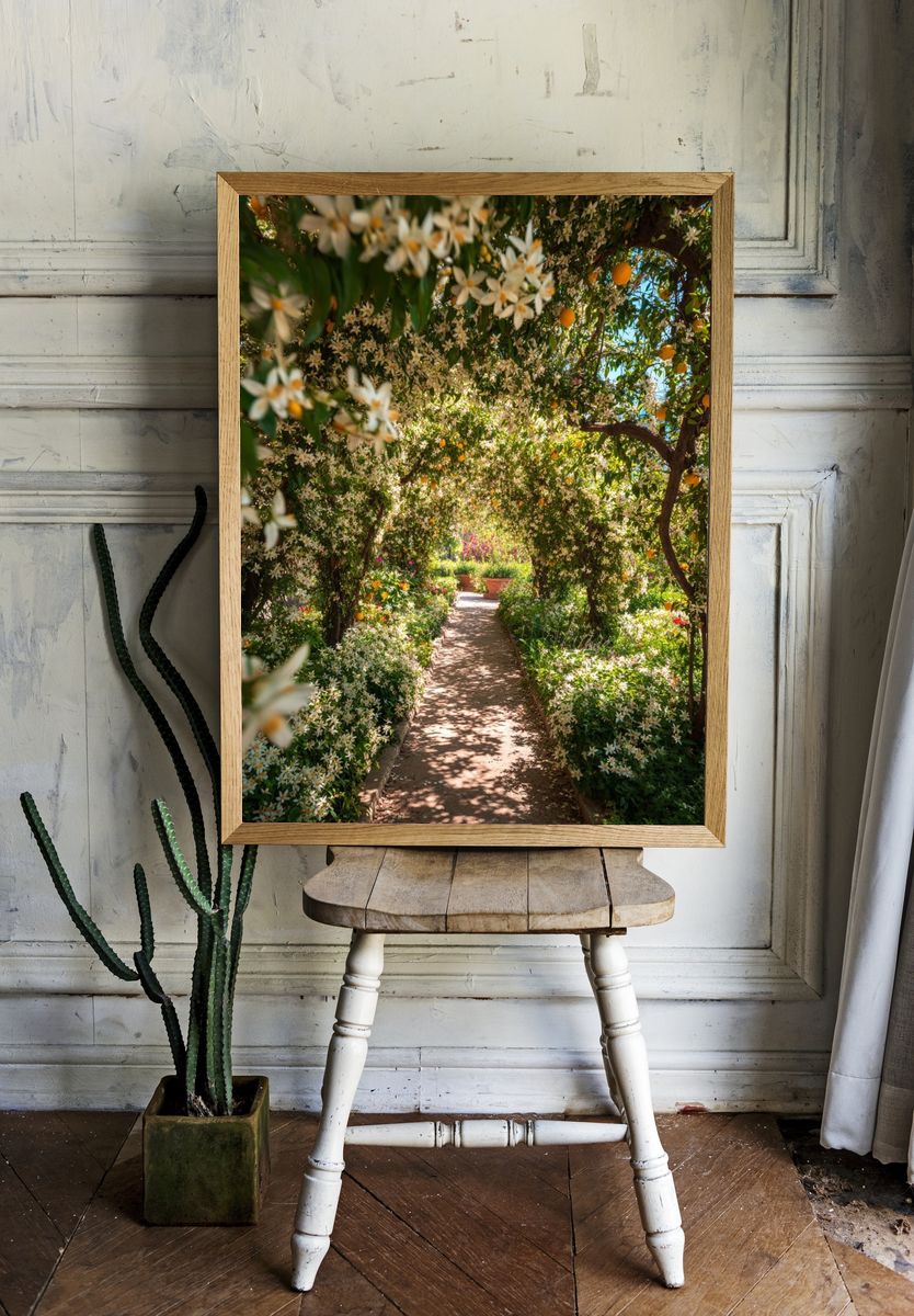 Citrus Garden Path Photography Poster. room preview