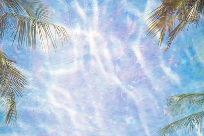 Shiny holographic tropical background design. poster