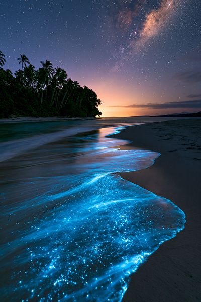 Bioluminescent Beach Nightscape Poster. poster