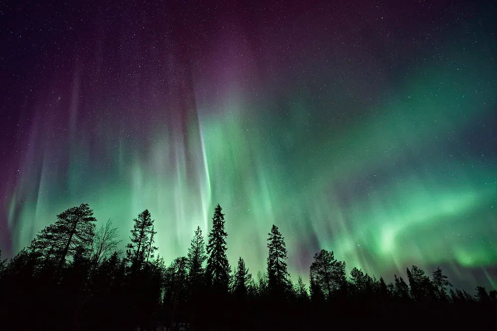 Aurora borealis night sky silhouettes. poster — nature art