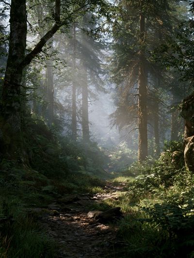 Misty Forest Path Poster.