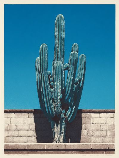 Blue Cactus Desert Print