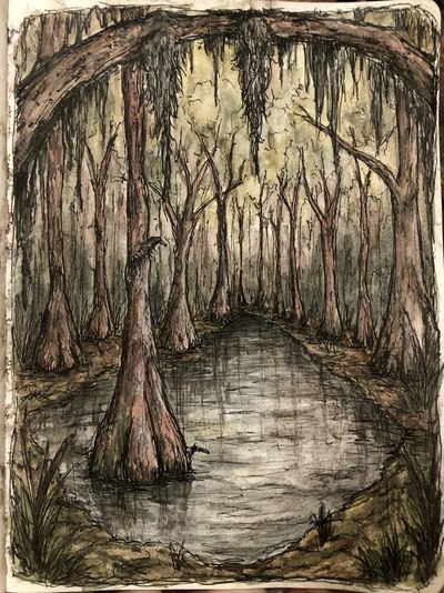 Swamp Forest Watercolor Poster. poster