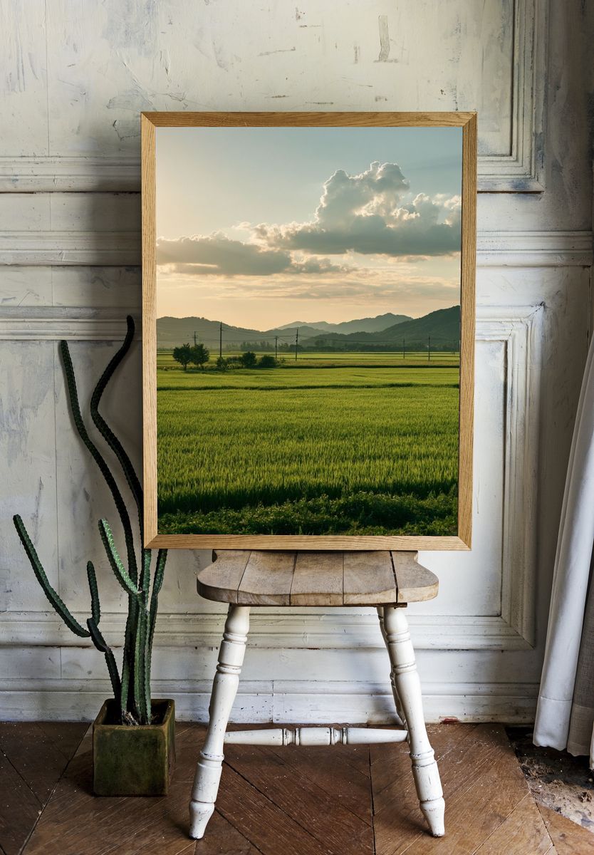 Golden Rice Fields Landscape Poster. room preview