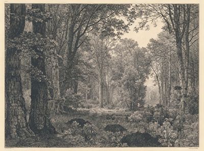 Misty Woodland Forest Print.