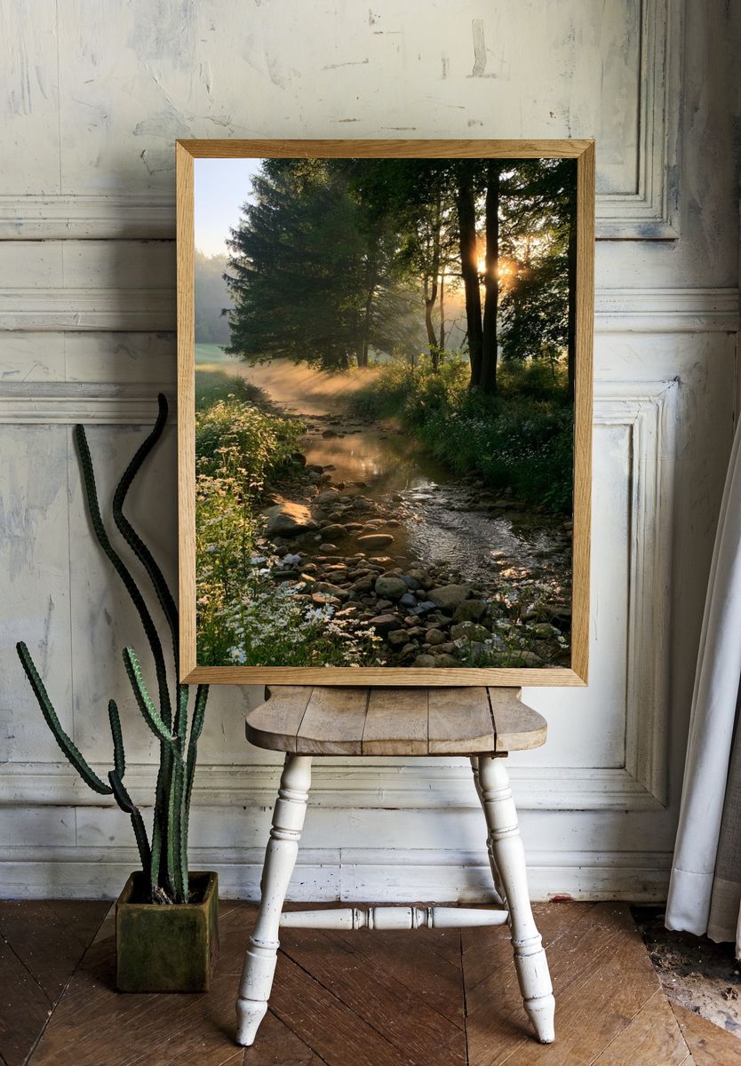 Sunlit Forest Stream Poster. room preview