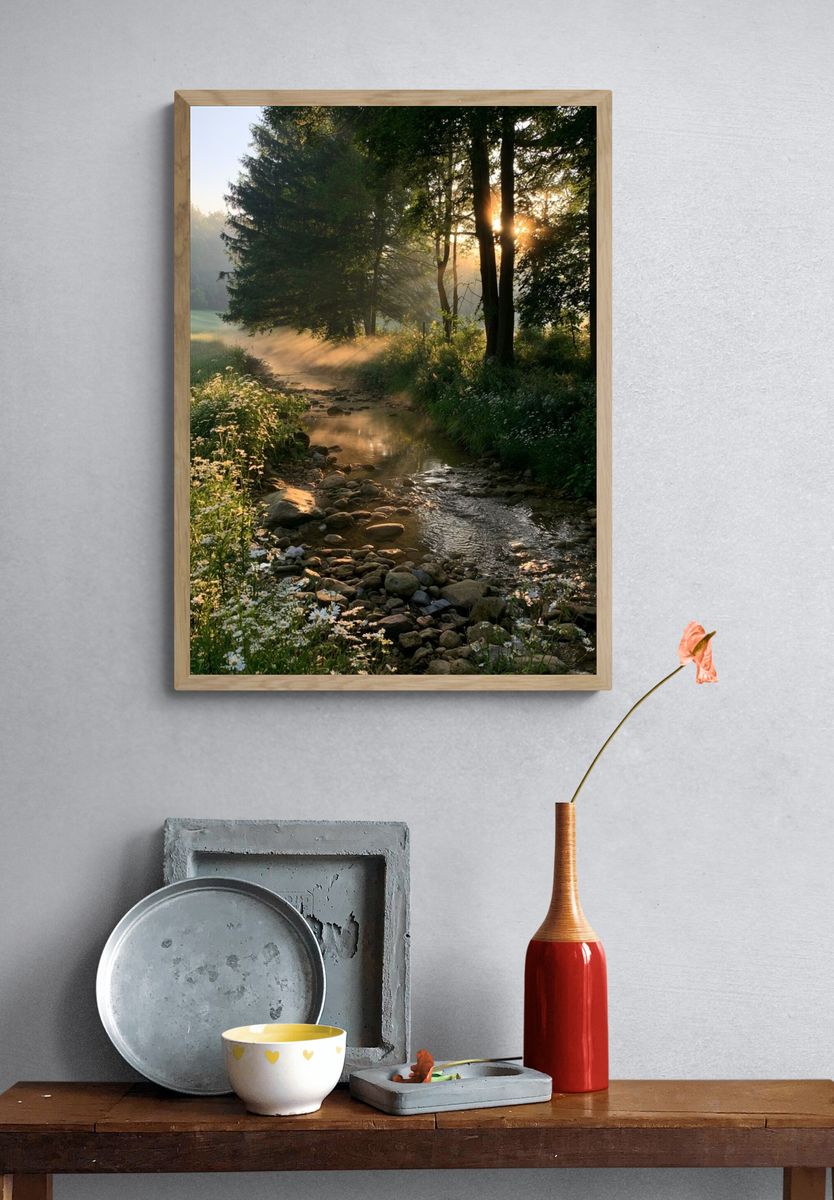 Sunlit Forest Stream Poster. — room view 3