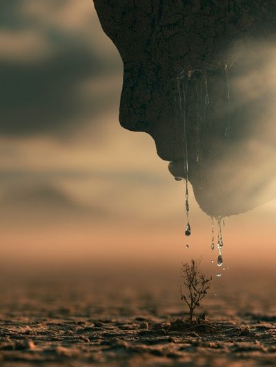 Desert Drop Photography Poster. poster