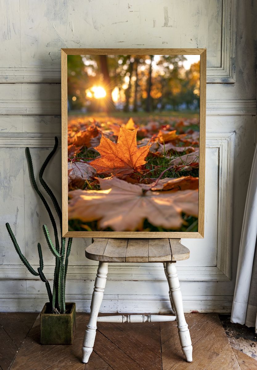 Autumn Leaves at Sunset Poster. room preview