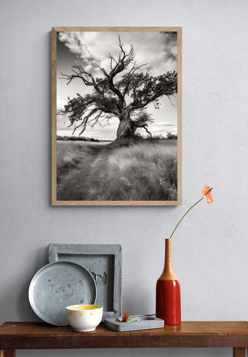 Solitary Tree in Meadow Black-White Poster. — room view 3
