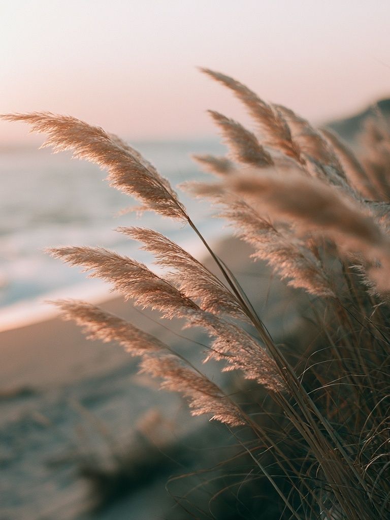 Coastal Reeds at Sunset Print. poster — nature art