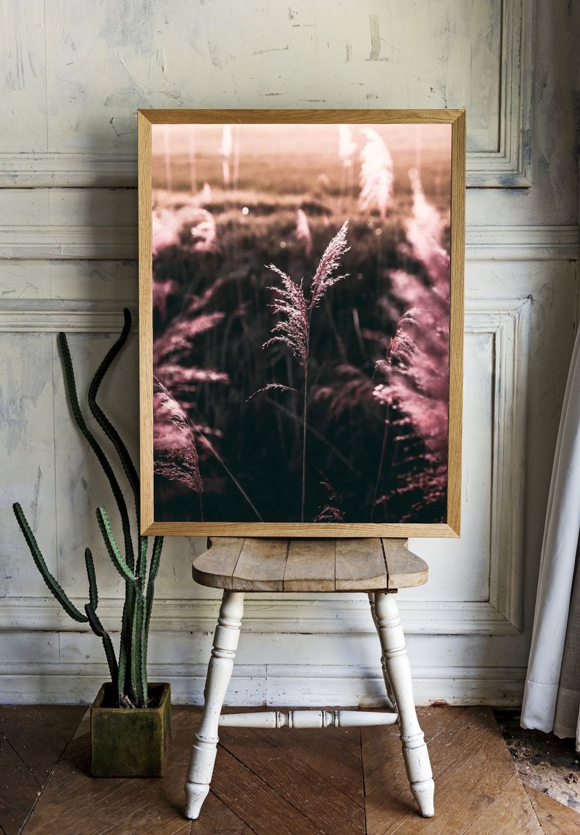 Pampas Grass at Sunset Poster room preview