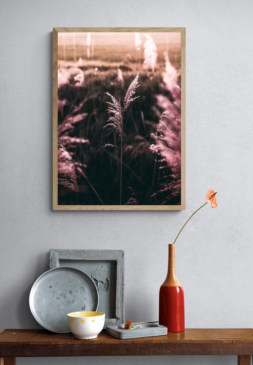 Pampas Grass at Sunset Poster. — room view 3