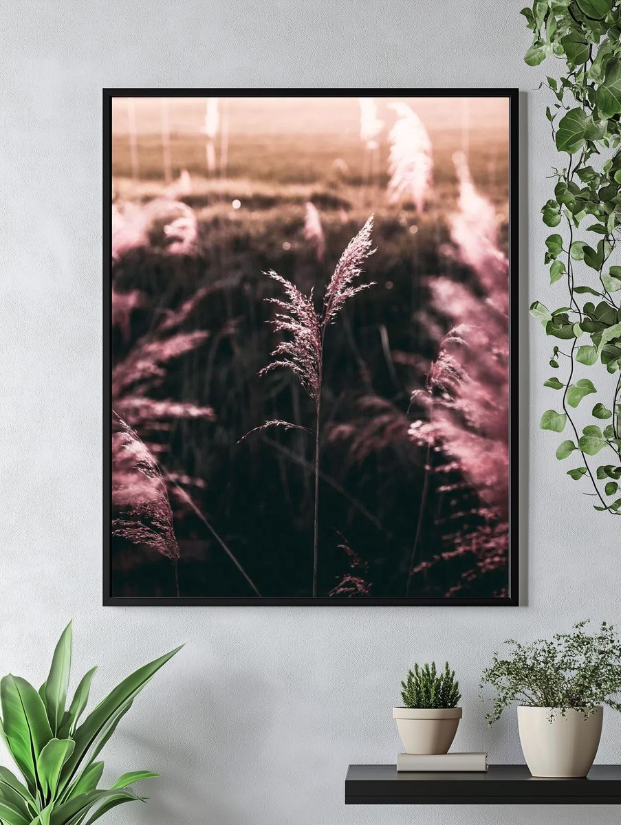 Pampas Grass at Sunset Poster. — room view 4