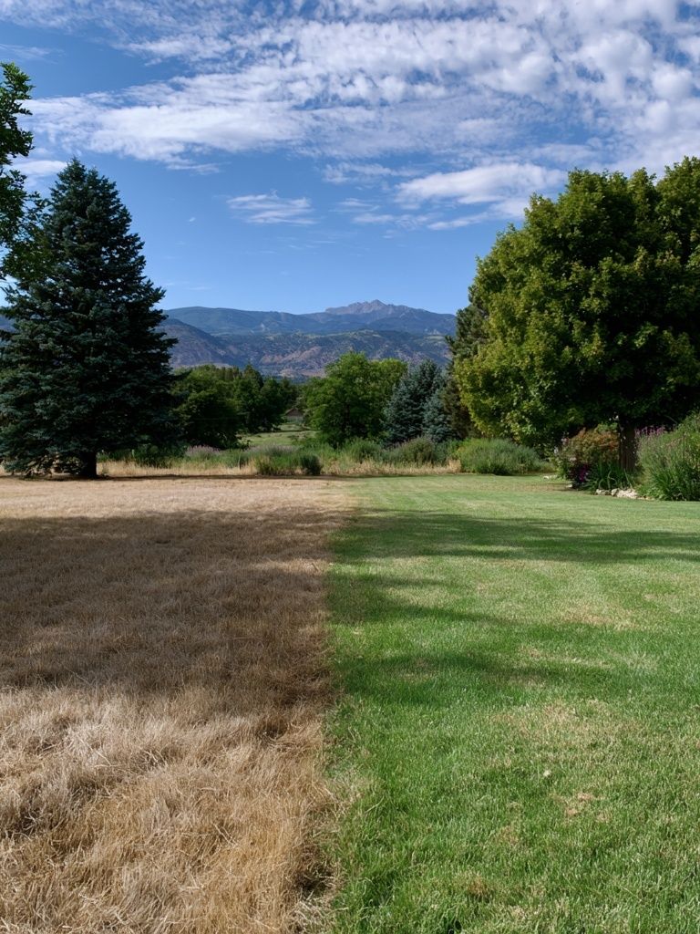 Mountain Meadow Landscape Poster. poster detail