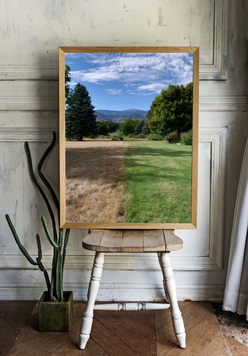 Mountain Meadow Landscape Poster. room preview