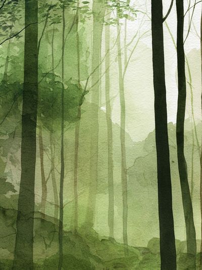 Misty Forest Watercolor Poster. poster