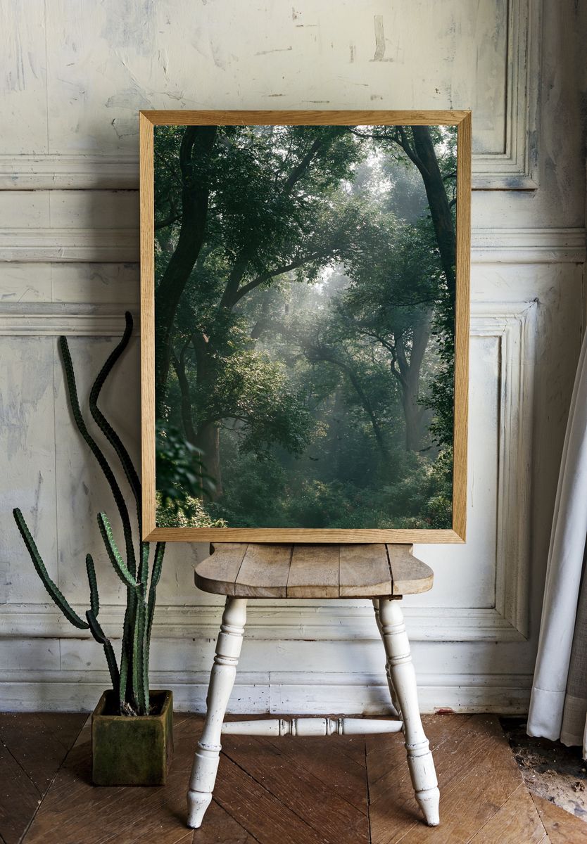 Misty Forest Canopy Poster. room preview