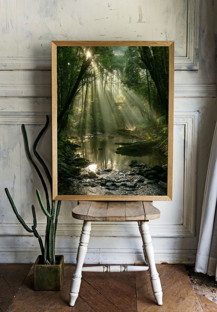 Sunlit Forest Stream Poster. — room view 1