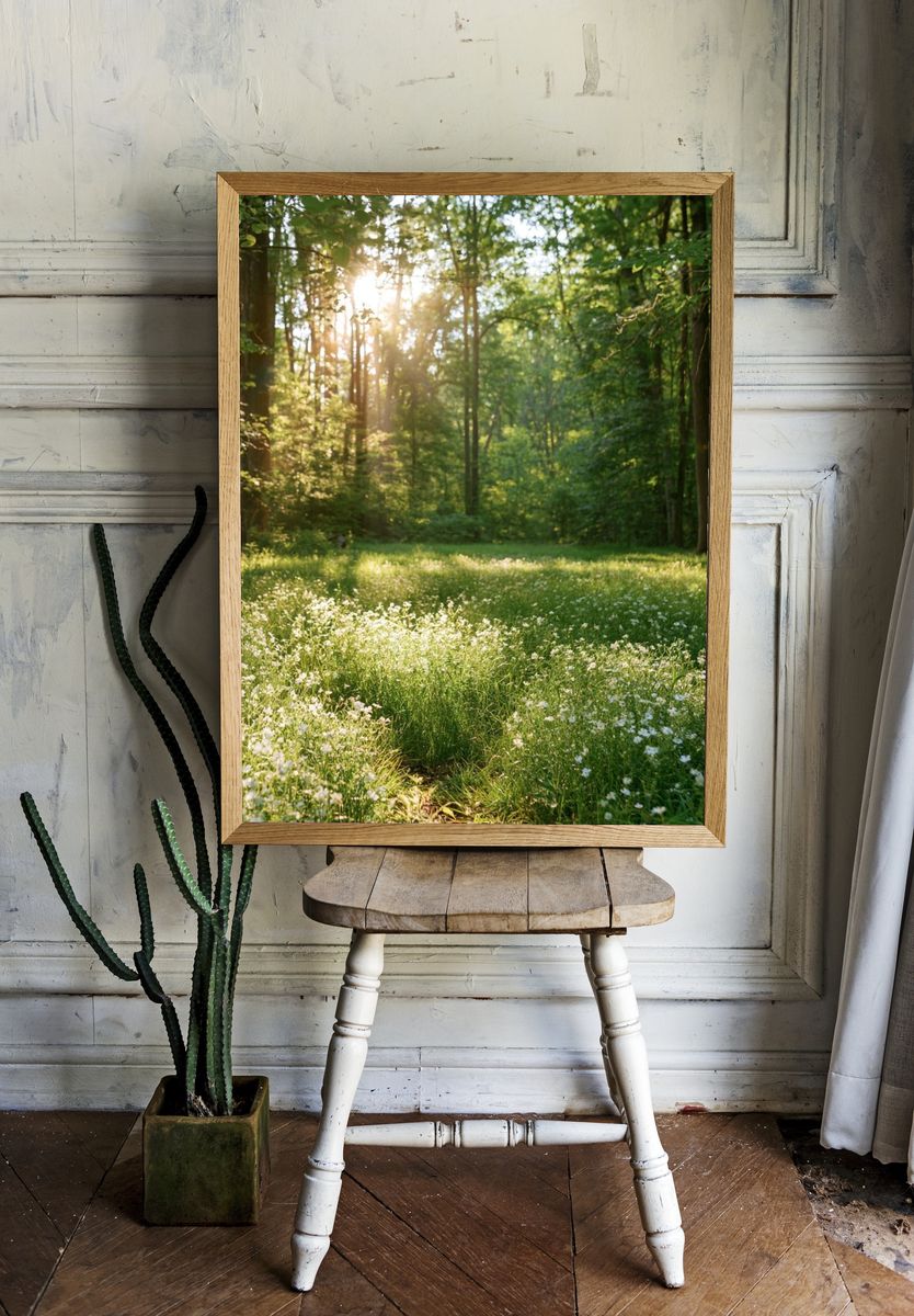 Sunlit Forest Meadow Photography Poster. — room view 1