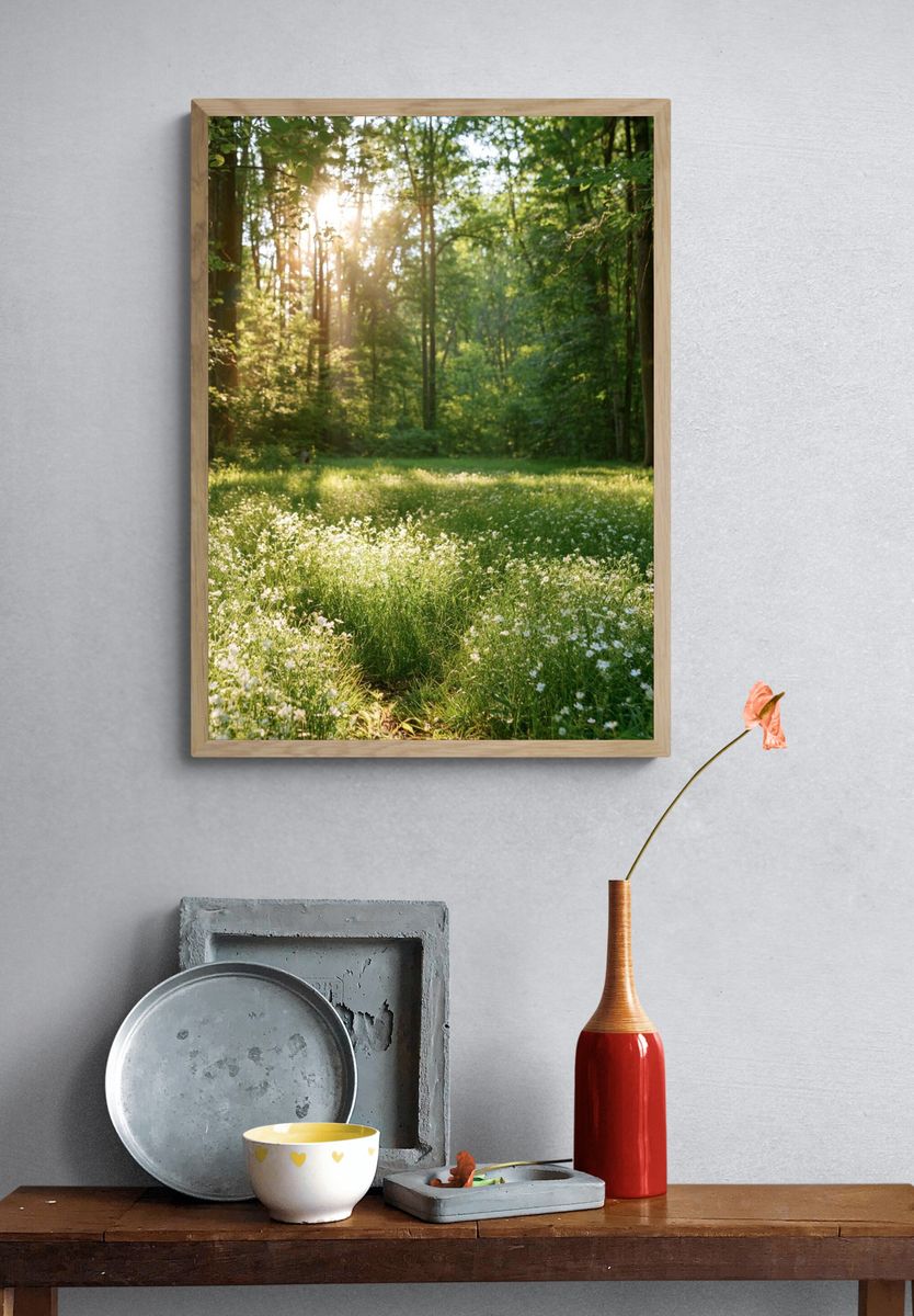 Sunlit Forest Meadow Photography Poster. — room view 3