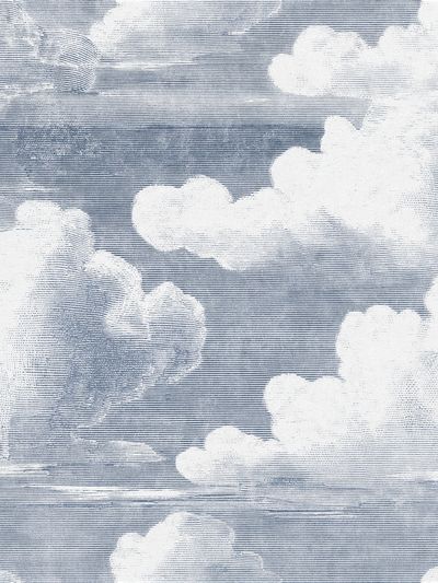 Cloudscape Texture Poster.