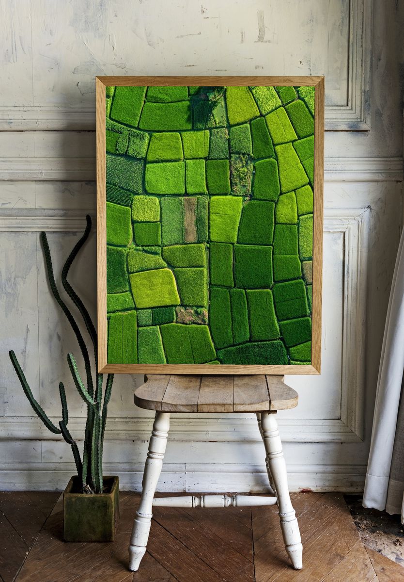 Lush Green Fields — Nature Print. — room view 1