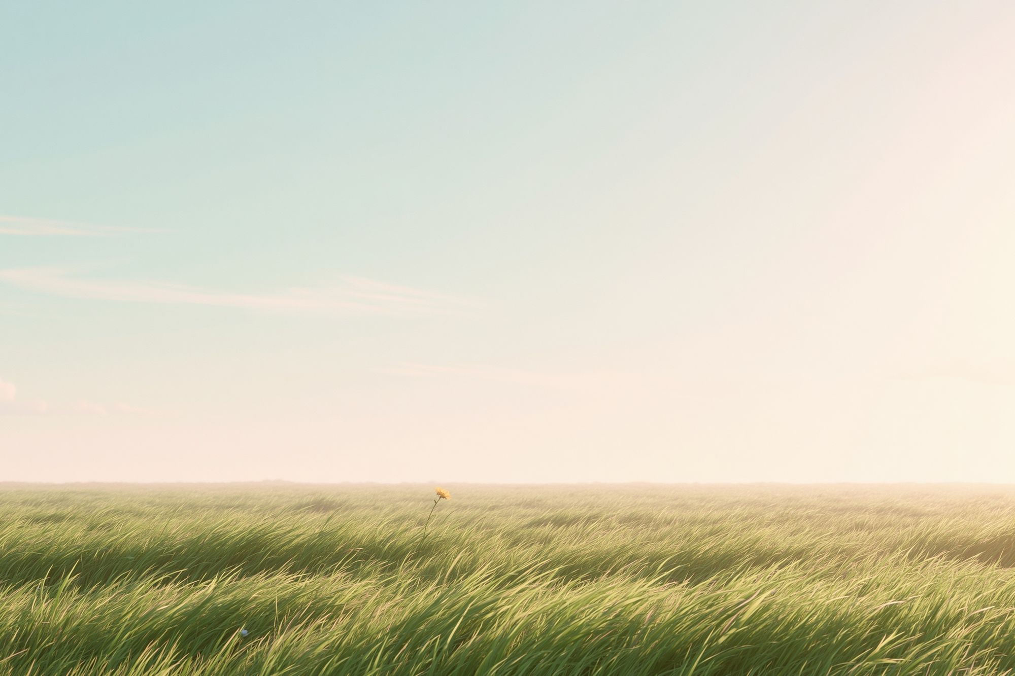Windy Meadow Sunrise Print. poster detail
