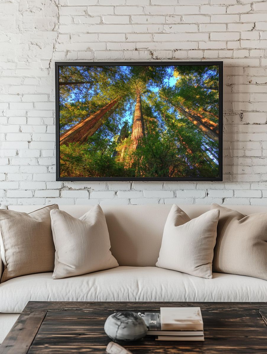 Majestic Redwood Forest — Nature Print room preview