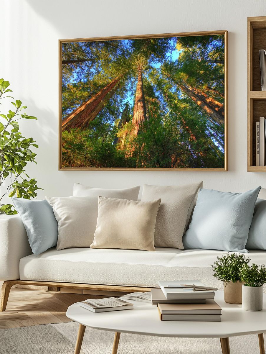 Majestic Redwood Forest — Nature Print. — room view 2