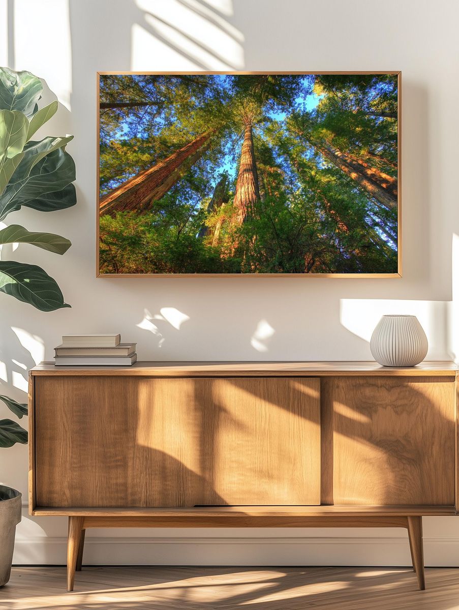 Majestic Redwood Forest — Nature Print. — room view 3