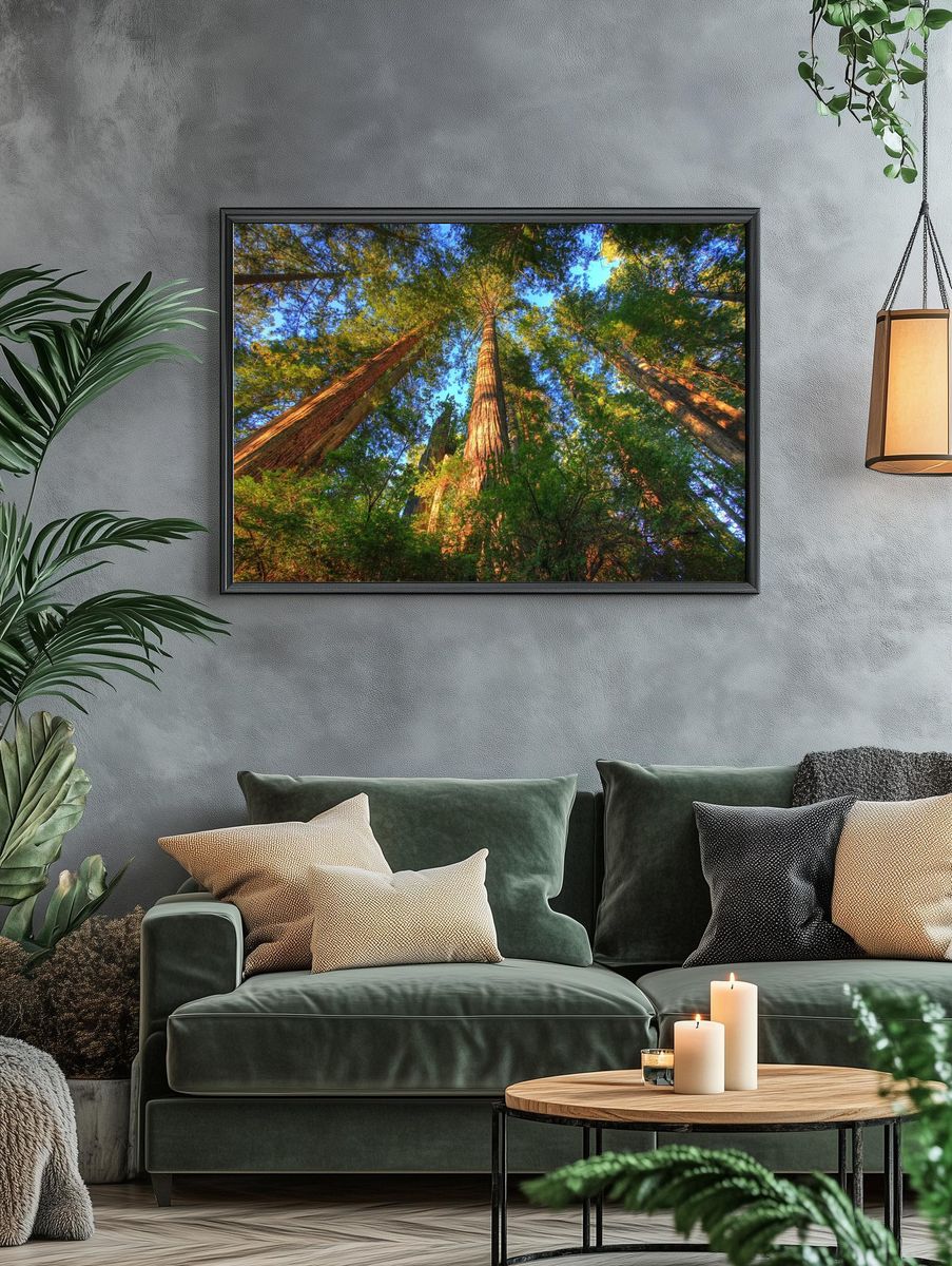 Majestic Redwood Forest — Nature Print. — room view 4