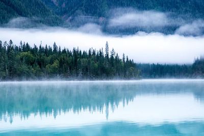 Misty Forest Lake Landscape Poster. poster