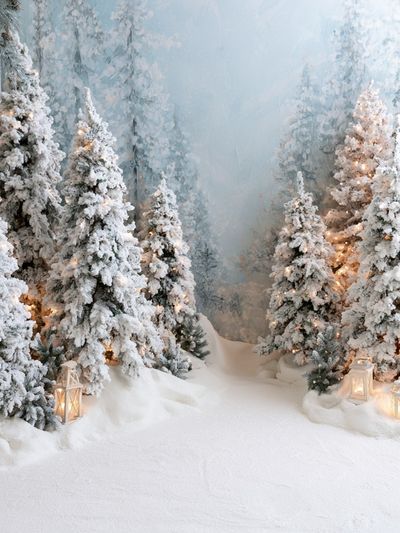 Snowy Winter Forest Poster.