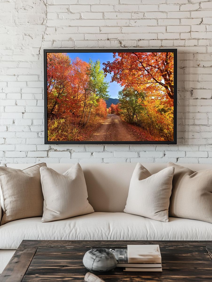 Fall colors dirt road Cub. room preview