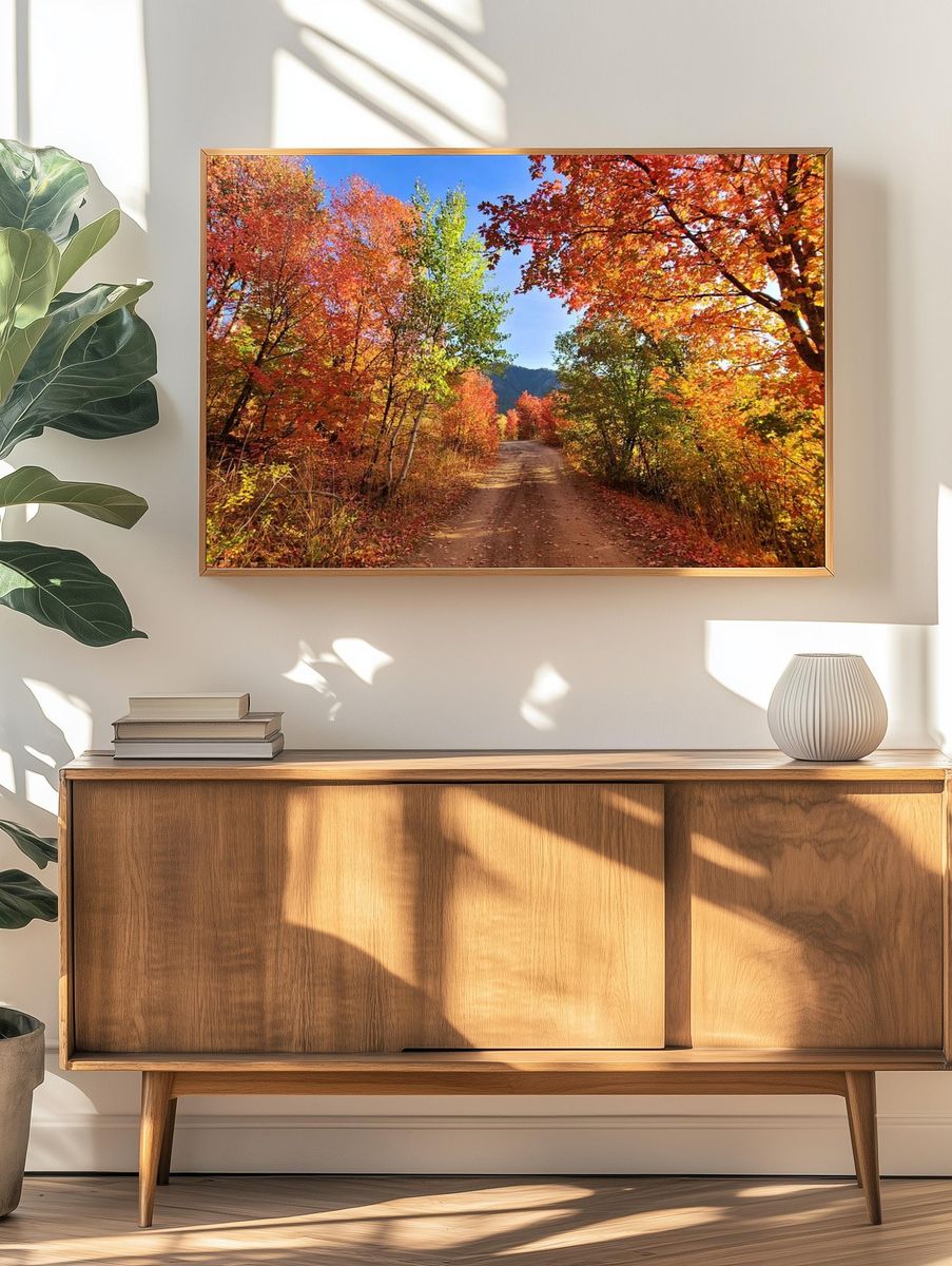 Fall colors dirt road Cub. — room view 3