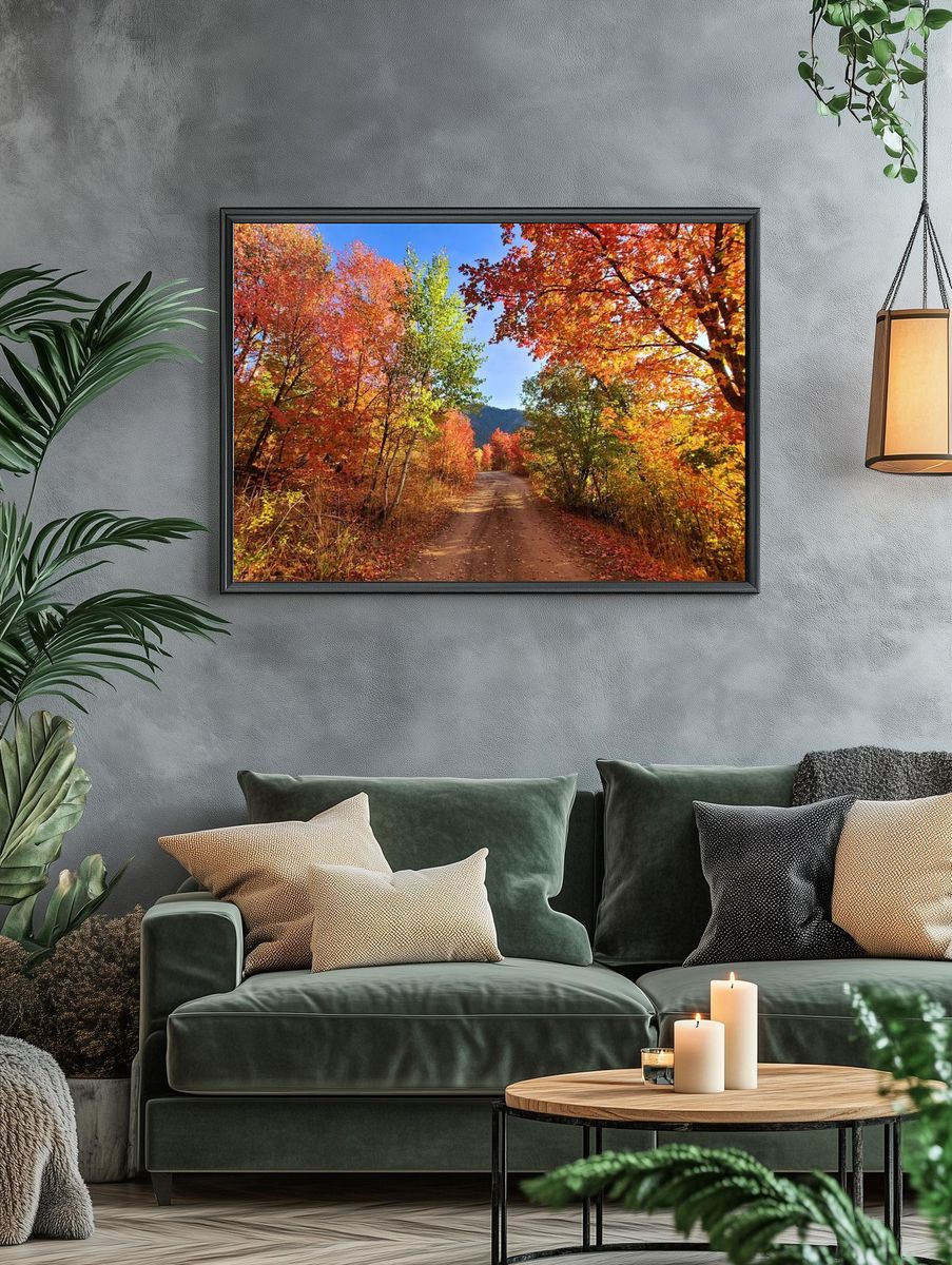 Fall colors dirt road Cub. — room view 4