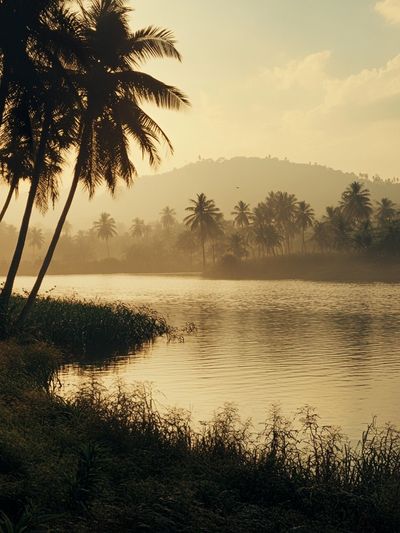 Tropical River Sunrise Photography Poster.