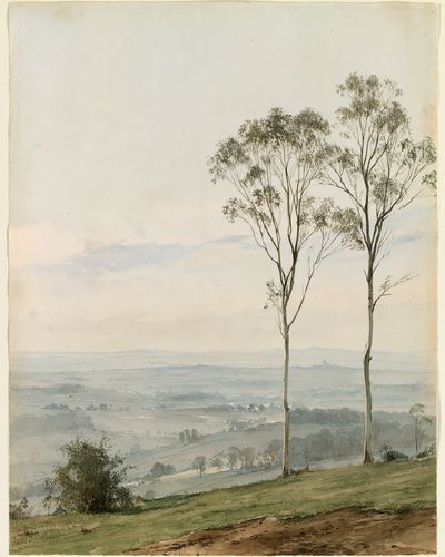 Misty Eucalyptus Landscape Print.