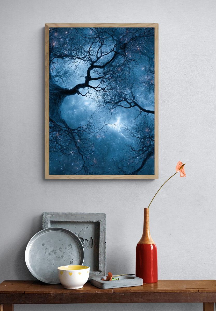 Enchanted Night Forest Print. — room view 3