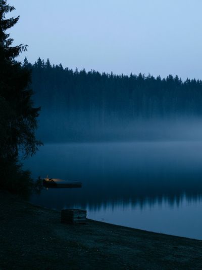 Misty Forest Lake Photography Poster.