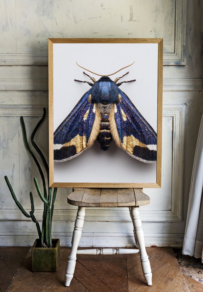 Blue and Gold Moth — Nature Print. — room view 1