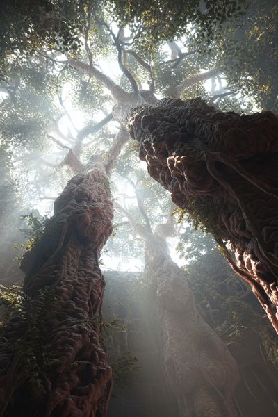 Ancient Forest Canopy Poster