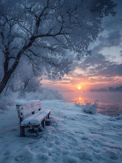 Winter Sunrise Lake Bench Poster. poster