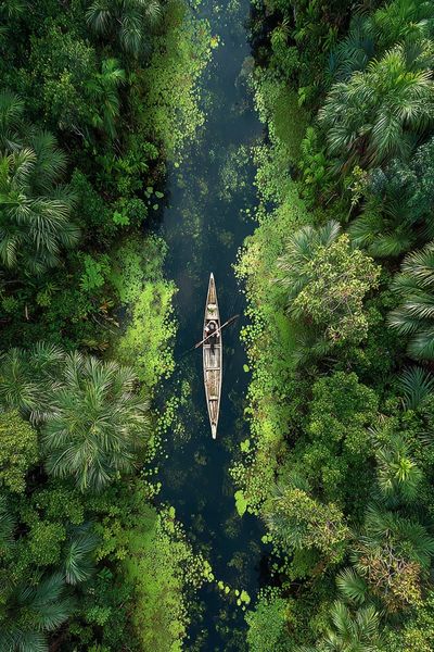 Serene Jungle River — Nature Print