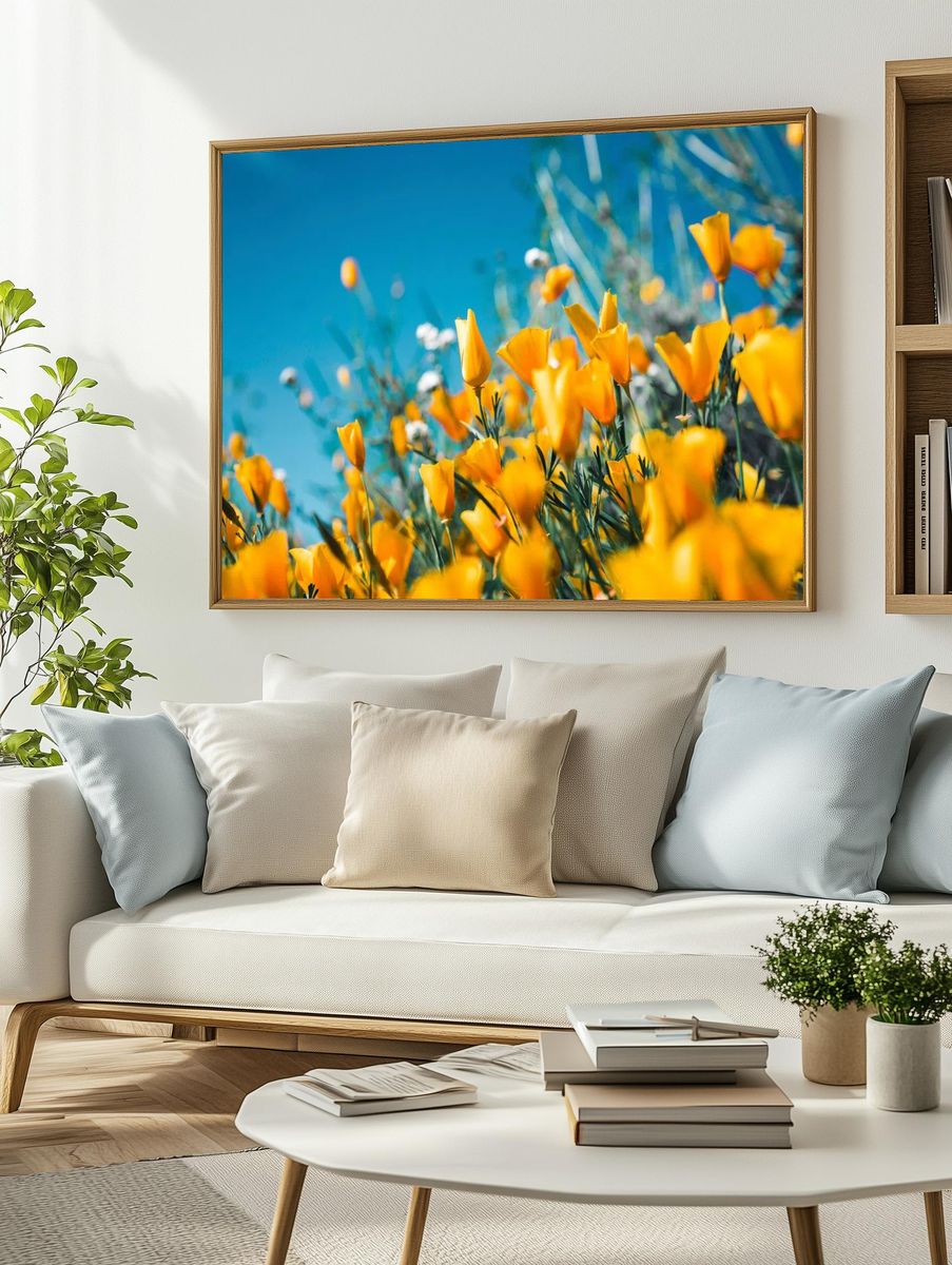 Orange petaled flowers blooming field. — room view 2