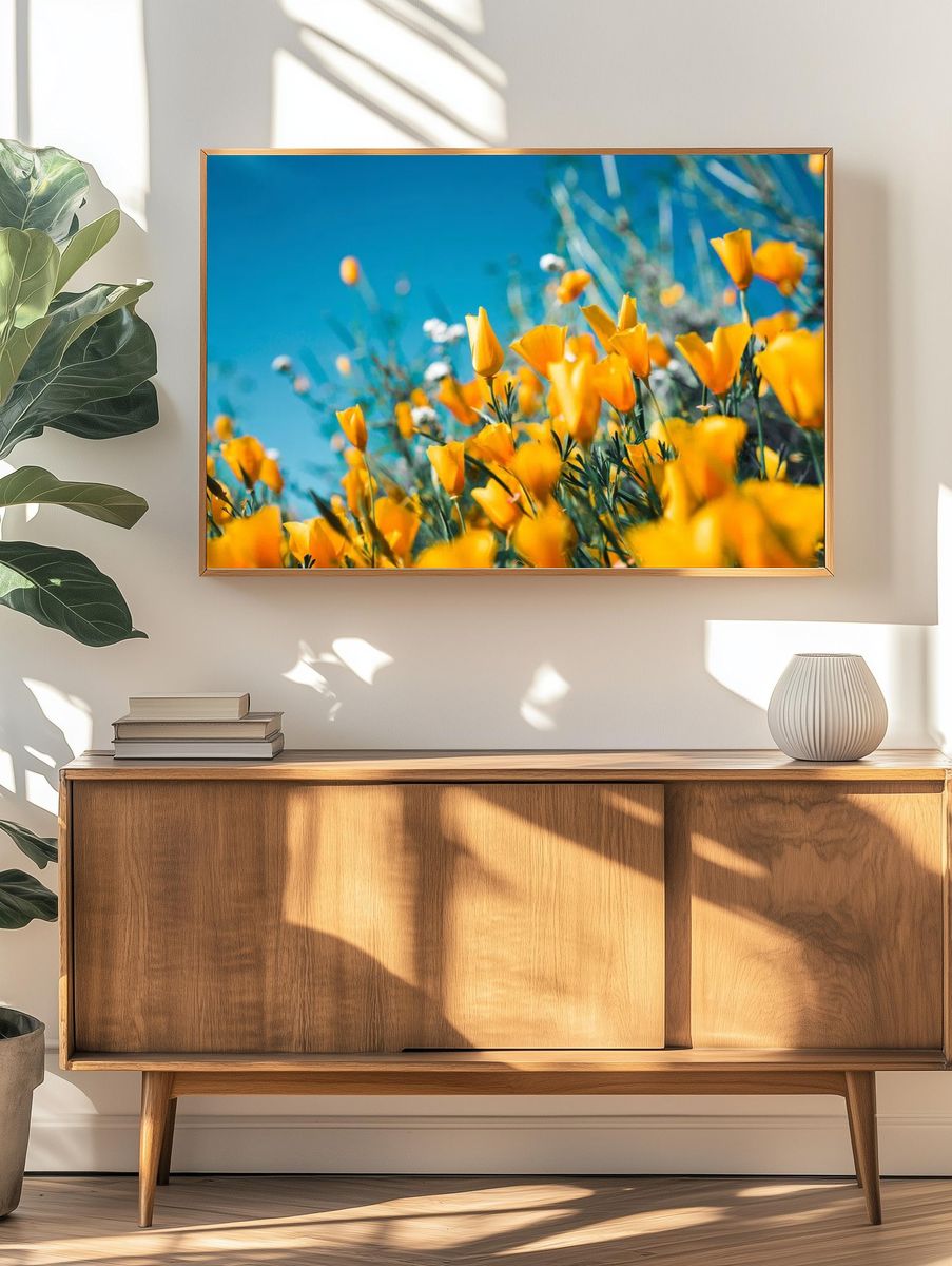 Orange petaled flowers blooming field. — room view 3