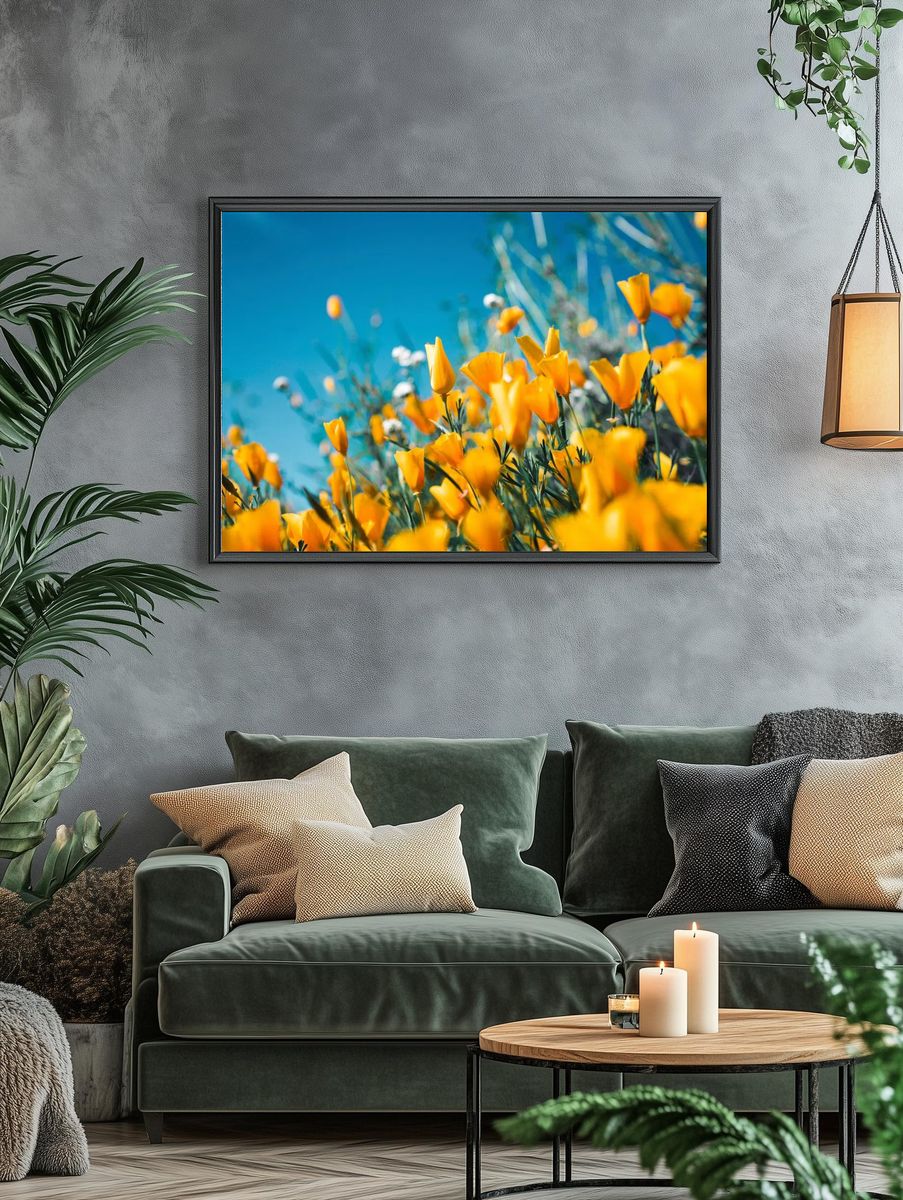 Orange petaled flowers blooming field. — room view 4